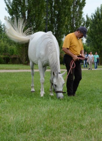 Oasi degli Amici Animali
